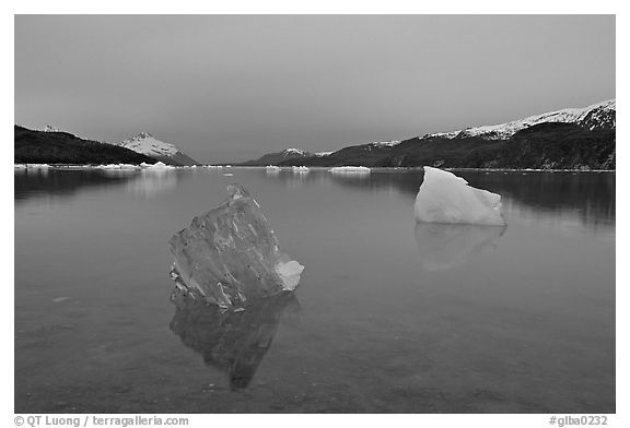 Translucent iceberg near Mc Bride glacier, Muir inlet. Glacier Bay National Park, Alaska, USA.