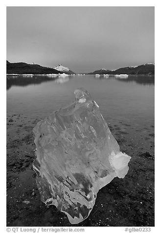 Translucent Iceberg near Mc Bride glacier, Muir inlet. Glacier Bay National Park, Alaska, USA.