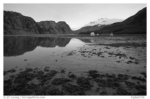 Mud flats above White Thunder ridge, Muir inlet. Glacier Bay National Park (black and white)