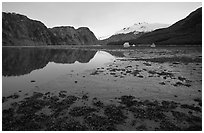 Mud flats above White Thunder ridge, Muir inlet. Glacier Bay National Park ( black and white)