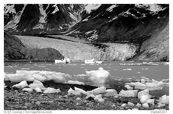 Mc Bride glacier, Muir inlet. Glacier Bay National Park, Alaska, USA.