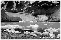 Mc Bride glacier, Muir inlet. Glacier Bay National Park, Alaska, USA. (black and white)