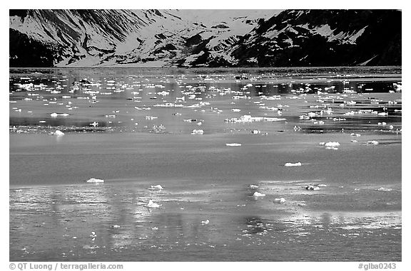 Icebergs and reflections, West arm. Glacier Bay National Park, Alaska, USA.