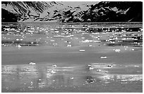 Icebergs and reflections, West arm. Glacier Bay National Park, Alaska, USA. (black and white)