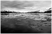 Ice-choked waters, West arm. Glacier Bay National Park, Alaska, USA. (black and white)