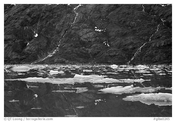 Icebergs and waterfalls, West arm. Glacier Bay National Park (black and white)