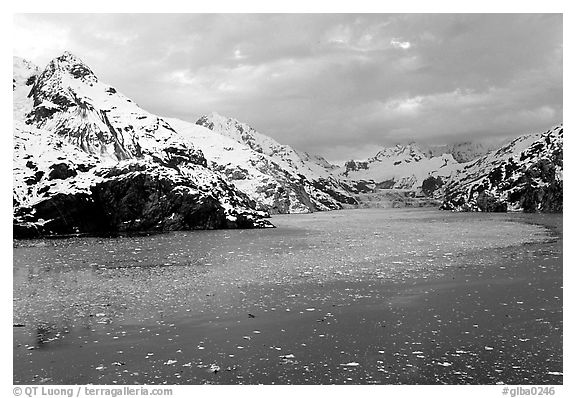 John Hopkins inlet with floating ice in late May. Glacier Bay National Park (black and white)