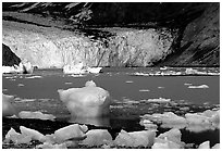 Mc Bride glacier. Glacier Bay National Park, Alaska, USA. (black and white)