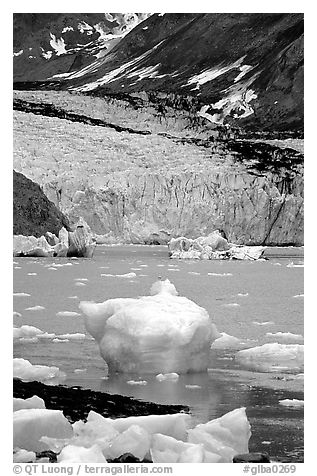 Mc Bride glacier. Glacier Bay National Park (black and white)