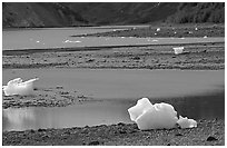 Icebergs and mud flats near Mc Bride glacier. Glacier Bay National Park, Alaska, USA. (black and white)