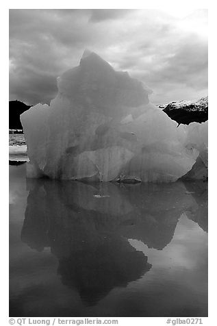 Blue iceberg, Mc Bride inlet. Glacier Bay National Park (black and white)