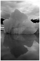 Blue iceberg, Mc Bride inlet. Glacier Bay National Park, Alaska, USA. (black and white)