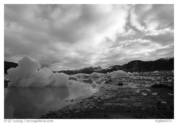 Iceberg, Mc Bride inlet. Glacier Bay National Park, Alaska, USA.