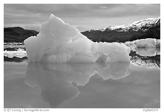 Blue iceberg, Mc Bride inlet. Glacier Bay National Park (black and white)