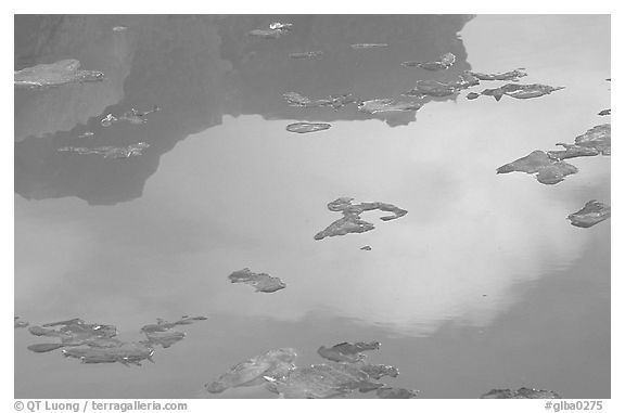 Ice and reflections, Mc Bride inlet. Glacier Bay National Park (black and white)
