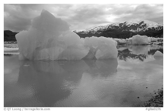 Iceberg, Mc Bride inlet. Glacier Bay National Park (black and white)