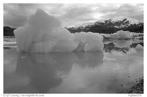 Iceberg, Mc Bride inlet. Glacier Bay National Park, Alaska, USA.