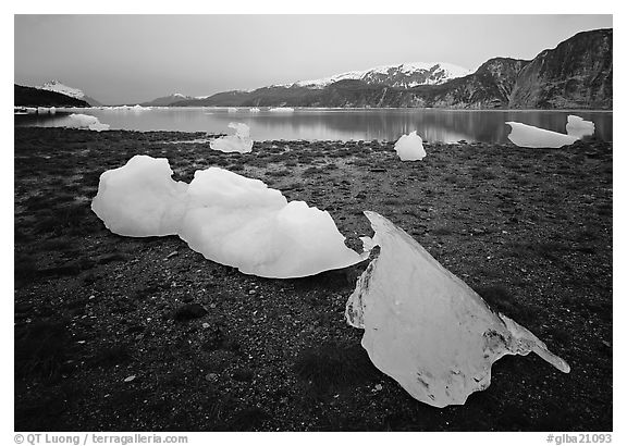 Icebergs near Mc Bride glacier, Muir inlet. Glacier Bay National Park (black and white)