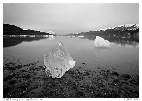 Beached translucent iceberg and Muir inlet at dawn. Glacier Bay National Park (black and white)