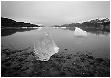 Beached translucent iceberg and  Muir inlet at dawn. Glacier Bay National Park ( black and white)