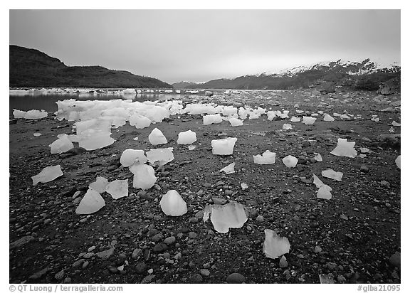 Icebergs near Mc Bride glacier, Muir inlet. Glacier Bay National Park (black and white)