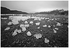 Icebergs near Mc Bride glacier, Muir inlet. Glacier Bay National Park, Alaska, USA. (black and white)