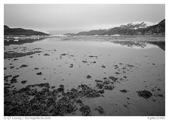 Mud flats near Mc Bride glacier, Muir inlet. Glacier Bay National Park, Alaska, USA.