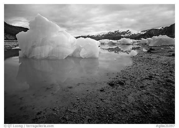 Blue icebergs beached near Mc Bride Glacier. Glacier Bay National Park, Alaska, USA.