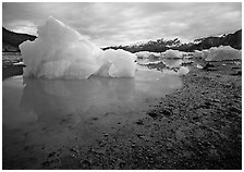 Blue icebergs beached near Mc Bride Glacier. Glacier Bay National Park, Alaska, USA. (black and white)