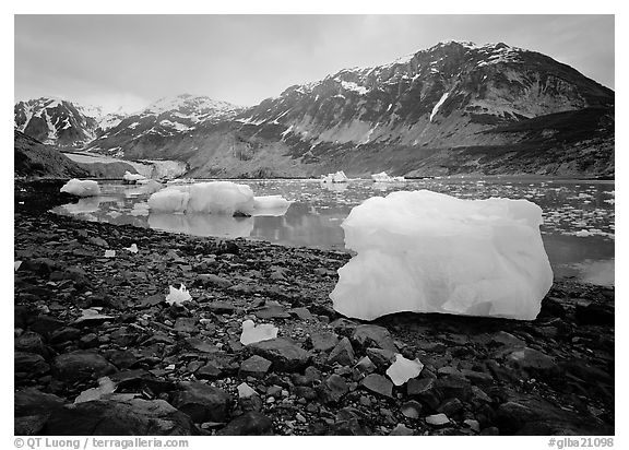 Icebergs and algae-covered rocks, Mc Bride inlet. Glacier Bay National Park, Alaska, USA.