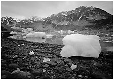 Icebergs and algae-covered rocks, Mc Bride inlet. Glacier Bay National Park, Alaska, USA. (black and white)