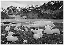 Beached icebergs and McBride Glacier. Glacier Bay National Park, Alaska, USA. (black and white)