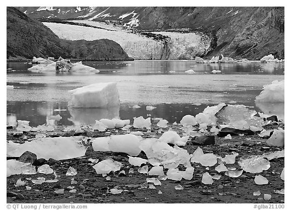 Icebergs, McBride Inlet, and McBride Glacier. Glacier Bay National Park (black and white)
