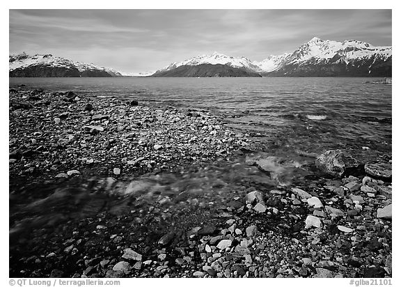 Stream and West arm. Glacier Bay National Park, Alaska, USA.