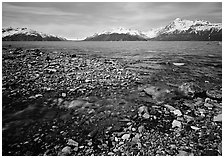 Stream and West arm. Glacier Bay National Park ( black and white)