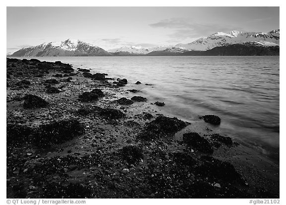 West Arm, sunset. Glacier Bay National Park (black and white)
