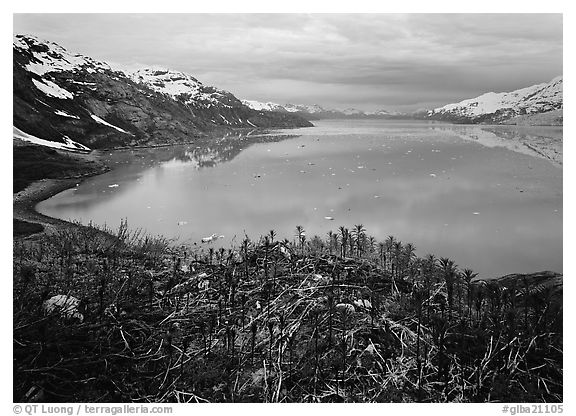 West arm seen from the entrance of John Hopkins inlet. Glacier Bay National Park (black and white)