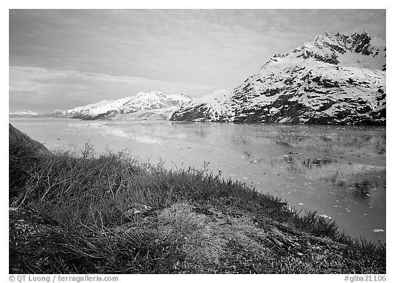 Snowy mountains and icy fjord seen from high point, West Arm. Glacier Bay National Park, Alaska, USA.