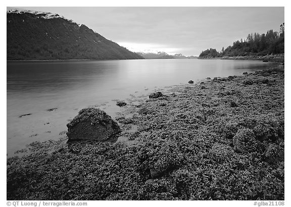 Charpentier inlet. Glacier Bay National Park, Alaska, USA.