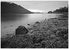 Charpentier inlet. Glacier Bay National Park, Alaska, USA. (black and white)