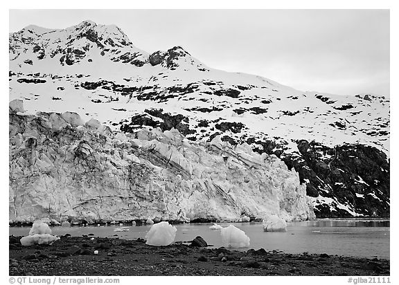 Lamplugh glacier and Mt Cooper. Glacier Bay National Park (black and white)