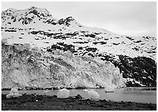 Lamplugh glacier and Mt Cooper. Glacier Bay National Park, Alaska, USA. (black and white)