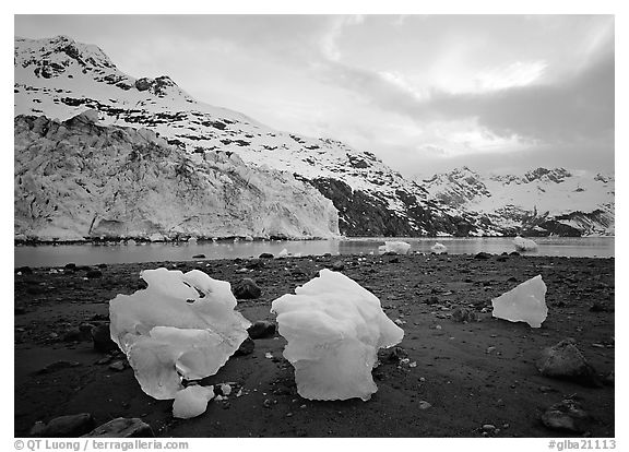 Lamplugh glacier and Mt Cooper. Glacier Bay National Park (black and white)