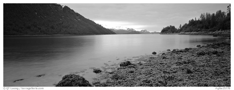 Moss-covered rocks in fjord. Glacier Bay National Park (black and white)