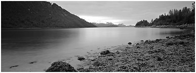 Moss-covered rocks in fjord. Glacier Bay National Park (Panoramic black and white)