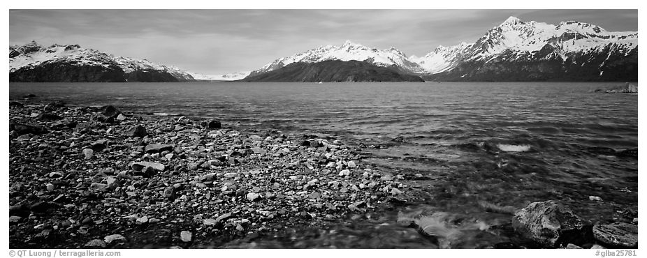 Snowy mountains rising above water. Glacier Bay National Park (black and white)