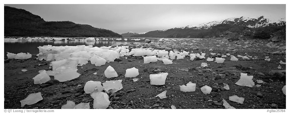 Landscape with beached icebergs. Glacier Bay National Park (black and white)