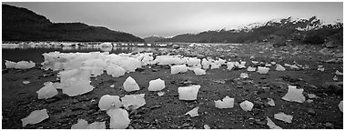 Pictures of Glacier Bay