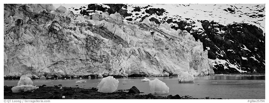 Glacier terminus. Glacier Bay National Park (black and white)