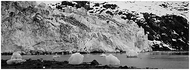 Glacier terminus. Glacier Bay National Park (Panoramic black and white)
